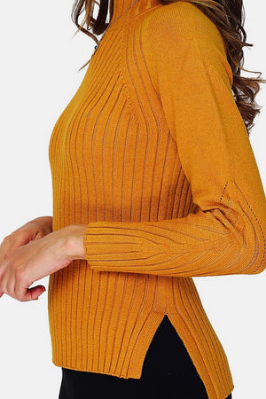 Pullover mit hohem Halsausschnitt und langen Ärmeln aus Rippenstrick