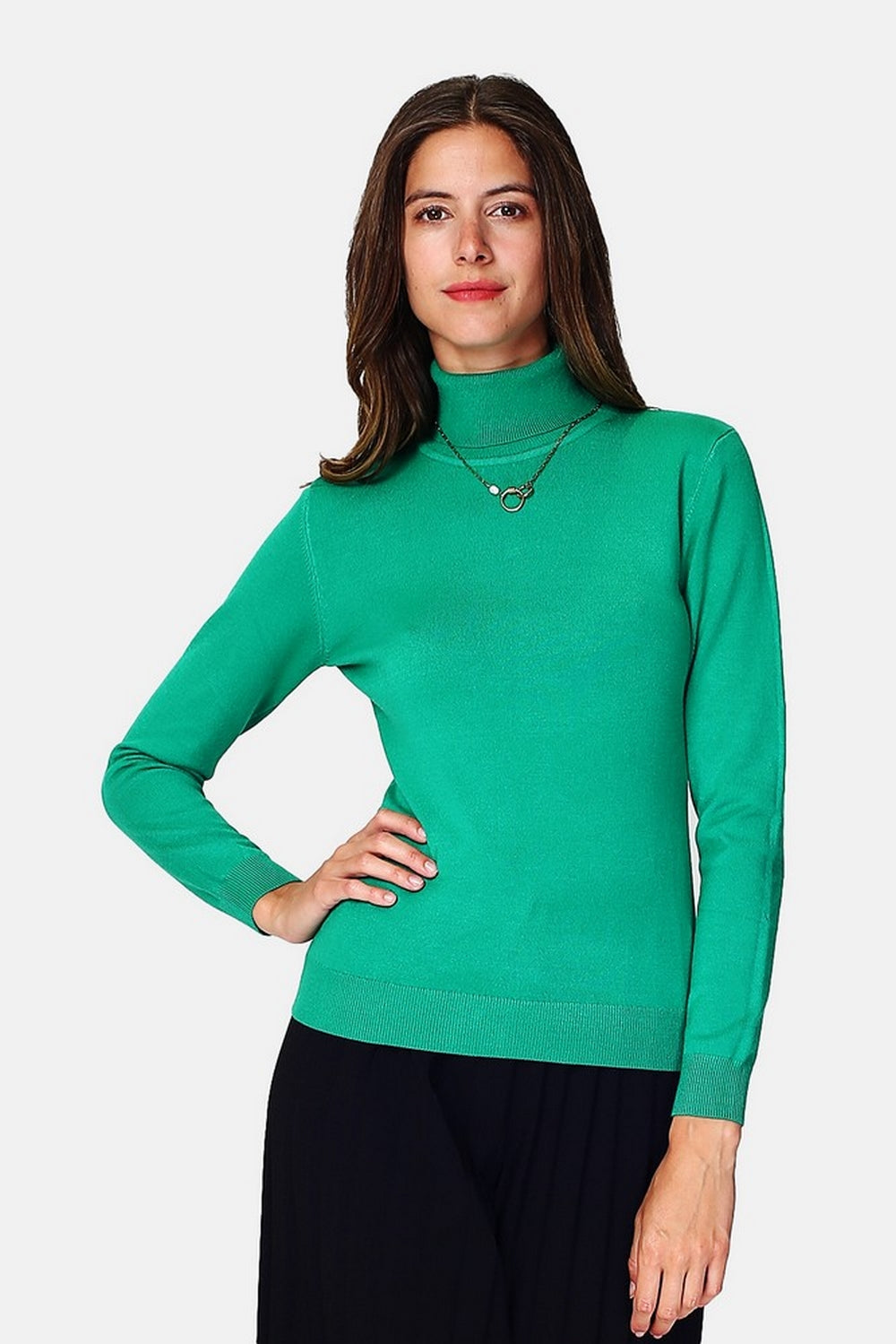 Classic 3-ply knit turtleneck sweater with long sleeve