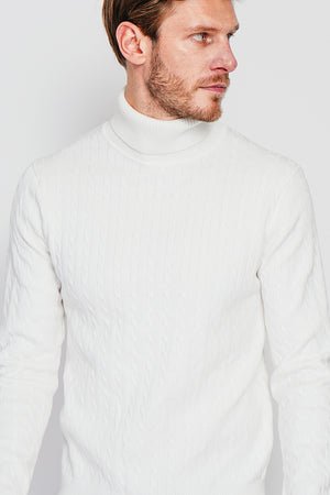 Long Sleeve Twisted Turtleneck Sweater