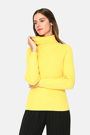 Turtleneck sweater in fancy English ribs on the front